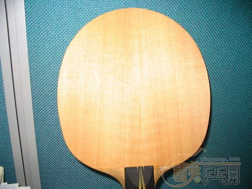 ��9.5���µ�ŷ��EG��200Ԫ����ݡ�һ֧9.5���µ�DONIC���ܷ�100Ԫ�����