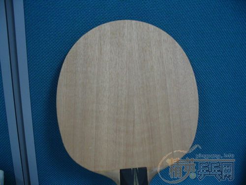 ��9.5���µ�ŷ��EG��200Ԫ����ݡ�һ֧9.5���µ�DONIC���ܷ�100Ԫ�����