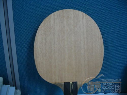 ��9.5���µ�ŷ��EG��200Ԫ����ݡ�һ֧9.5���µ�DONIC���ܷ�100Ԫ�����