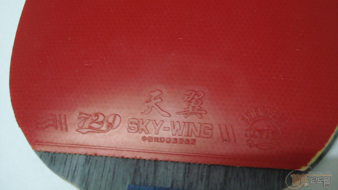 [�Ƽ�]�½�������������06���ϰ��𩣡��