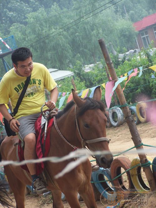 ңPALIO¡YASAKA2007ػʵУ