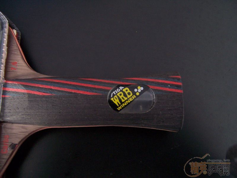 �ҵı���ʷ��������������ˮ�Ļ��䣨���ϸ��£�������