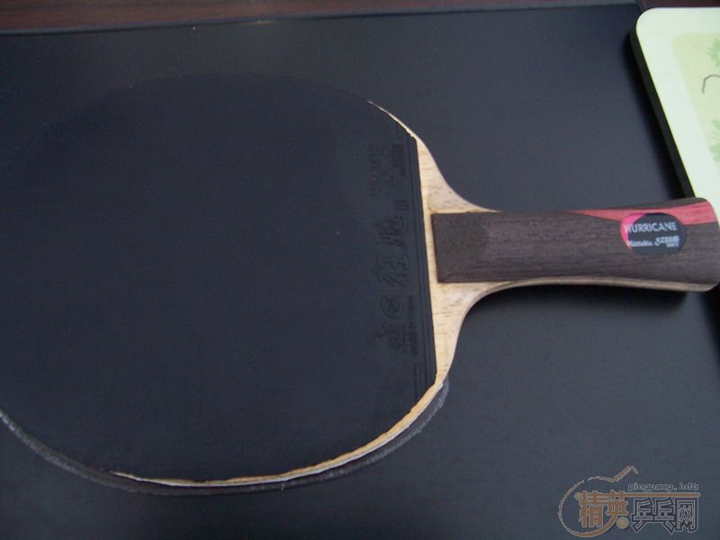 �ҵı���ʷ��������������ˮ�Ļ��䣨���ϸ��£�������