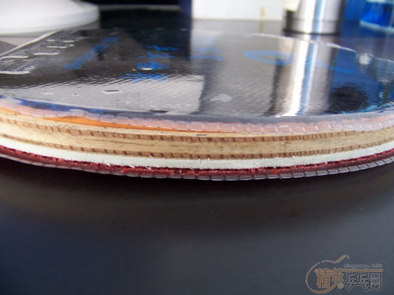 �ҵı���ʷ��������������ˮ�Ļ��䣨���ϸ��£�������