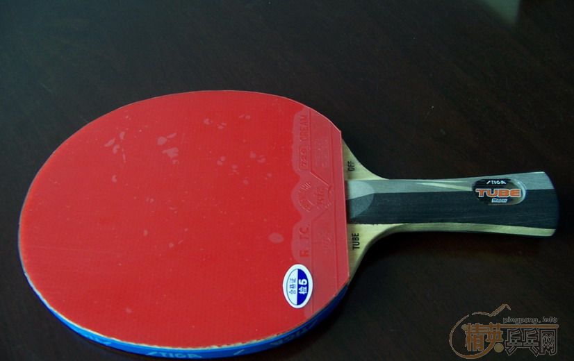 �ҵı���ʷ��������������ˮ�Ļ��䣨���ϸ��£�������