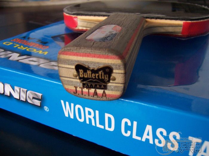 �ҵı���ʷ��������������ˮ�Ļ��䣨���ϸ��£�������