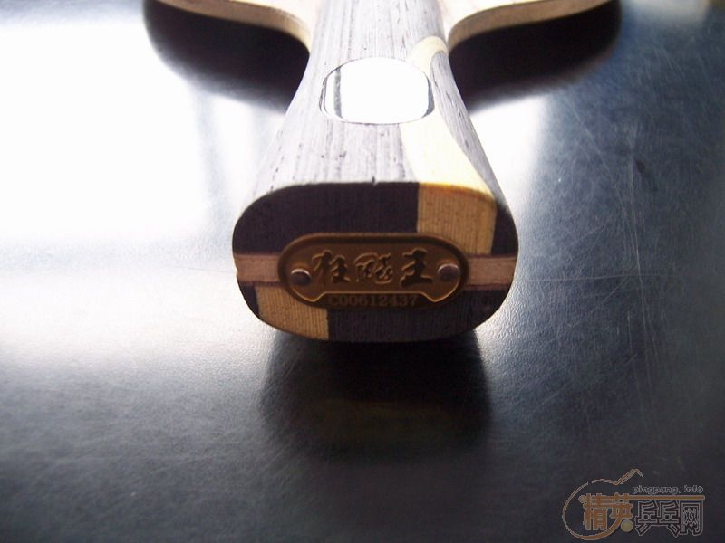 �ҵı���ʷ��������������ˮ�Ļ��䣨���ϸ��£�������