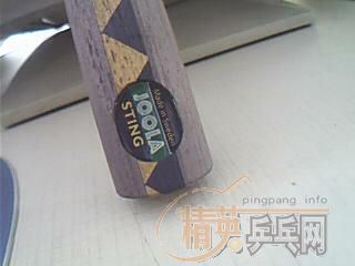 һSTJOOLA STING̣һJO