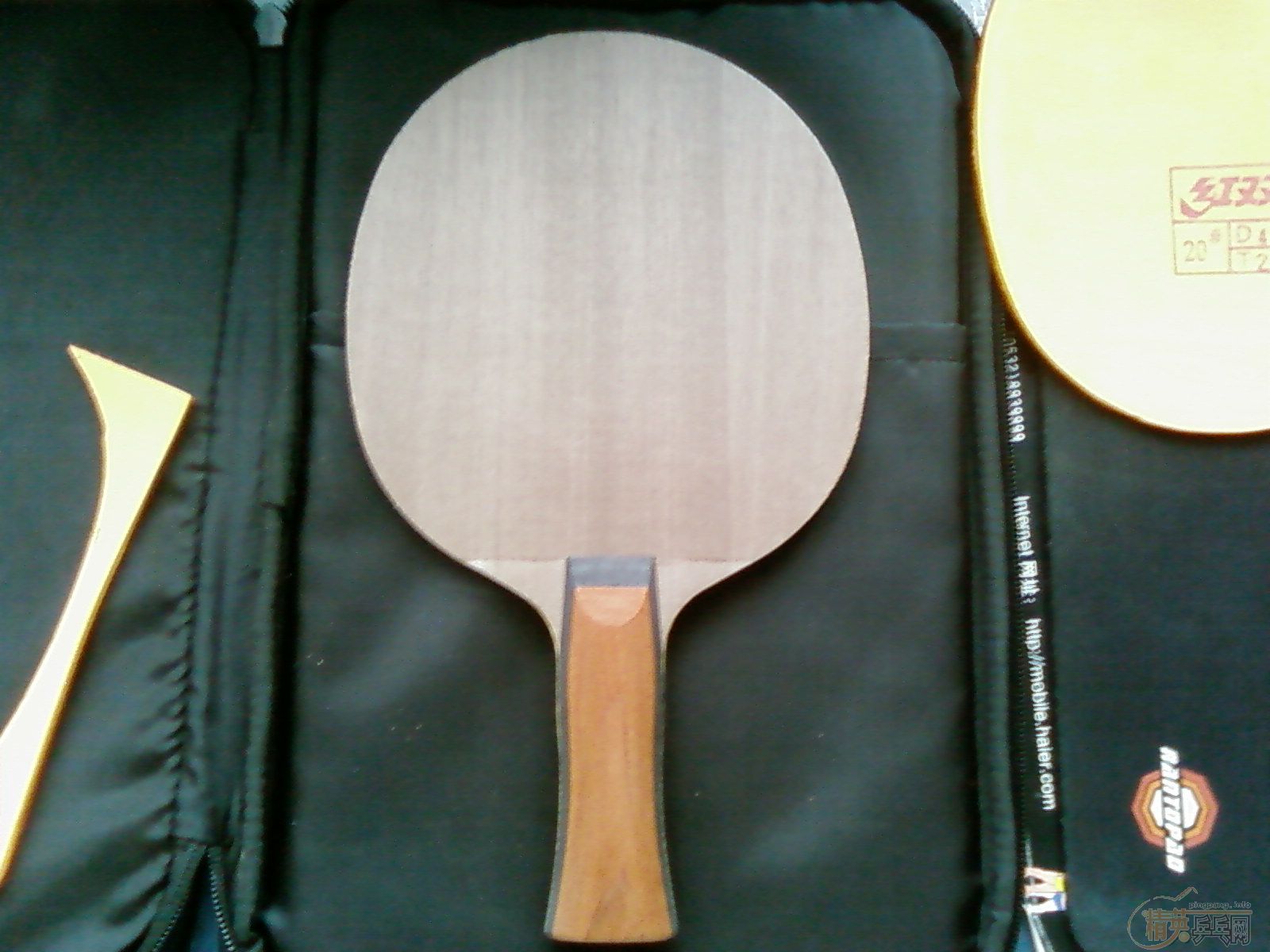 ���Ʊ�ϣá�ʡ���տ�