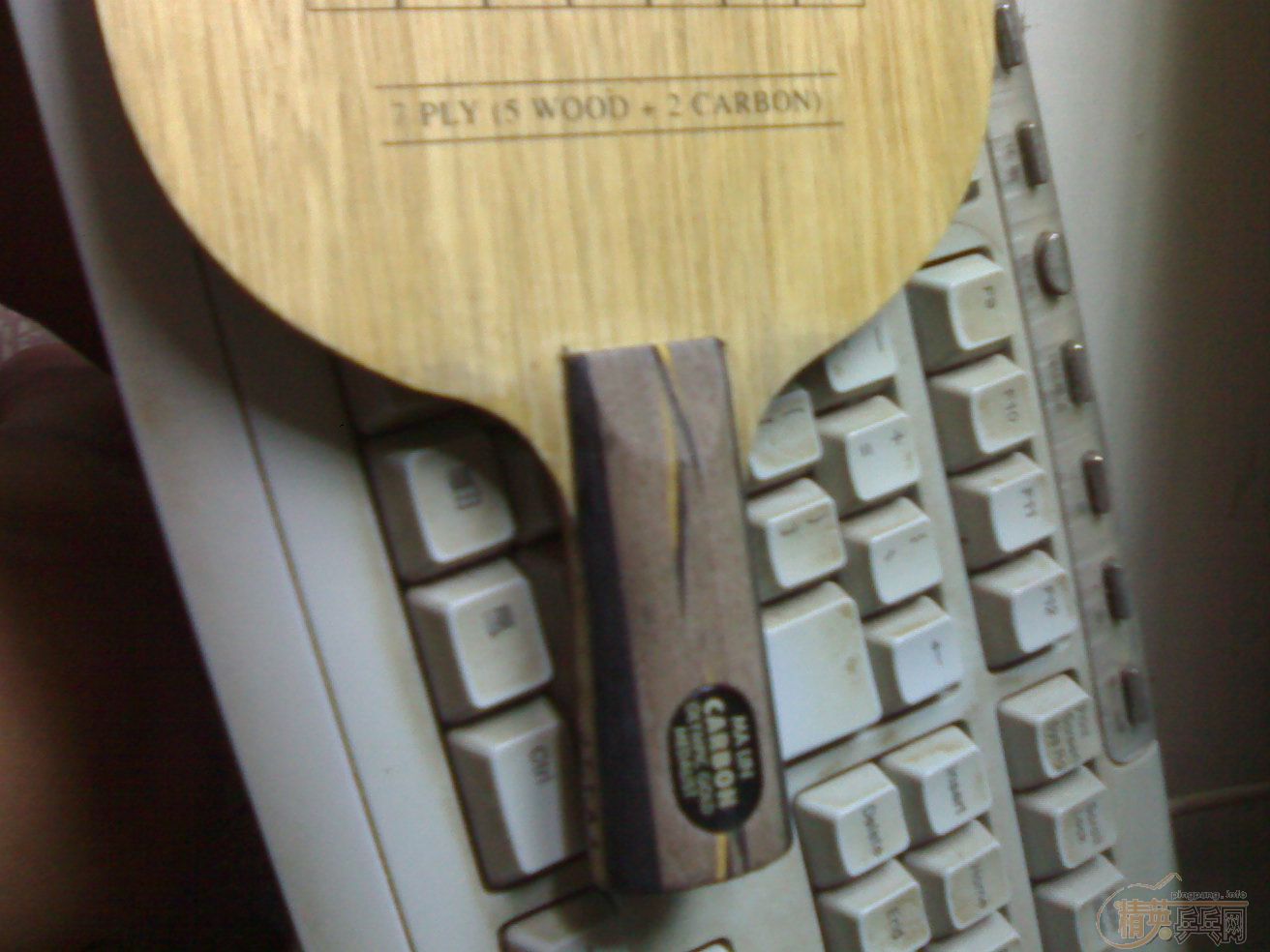 �����ձ���̼�������¡���ֱ�����������������