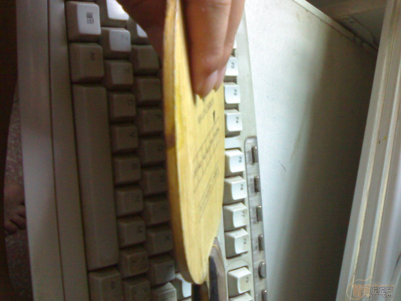 �����ձ���̼�������¡���ֱ�����������������