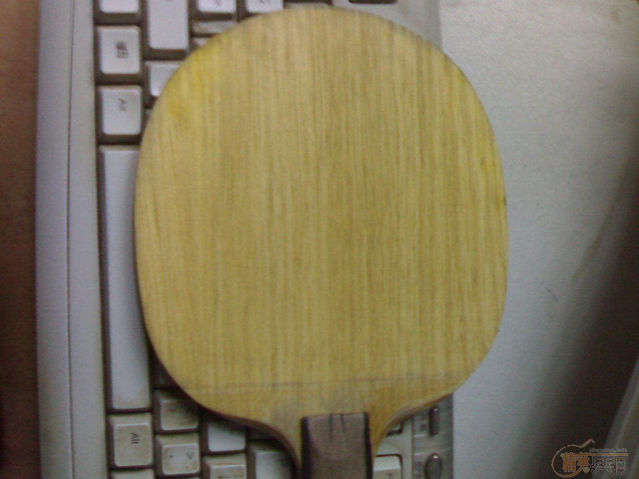 �����ձ���̼�������¡���ֱ�����������������