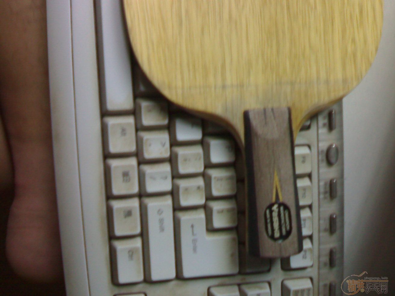 �����ձ���̼�������¡���ֱ�����������������