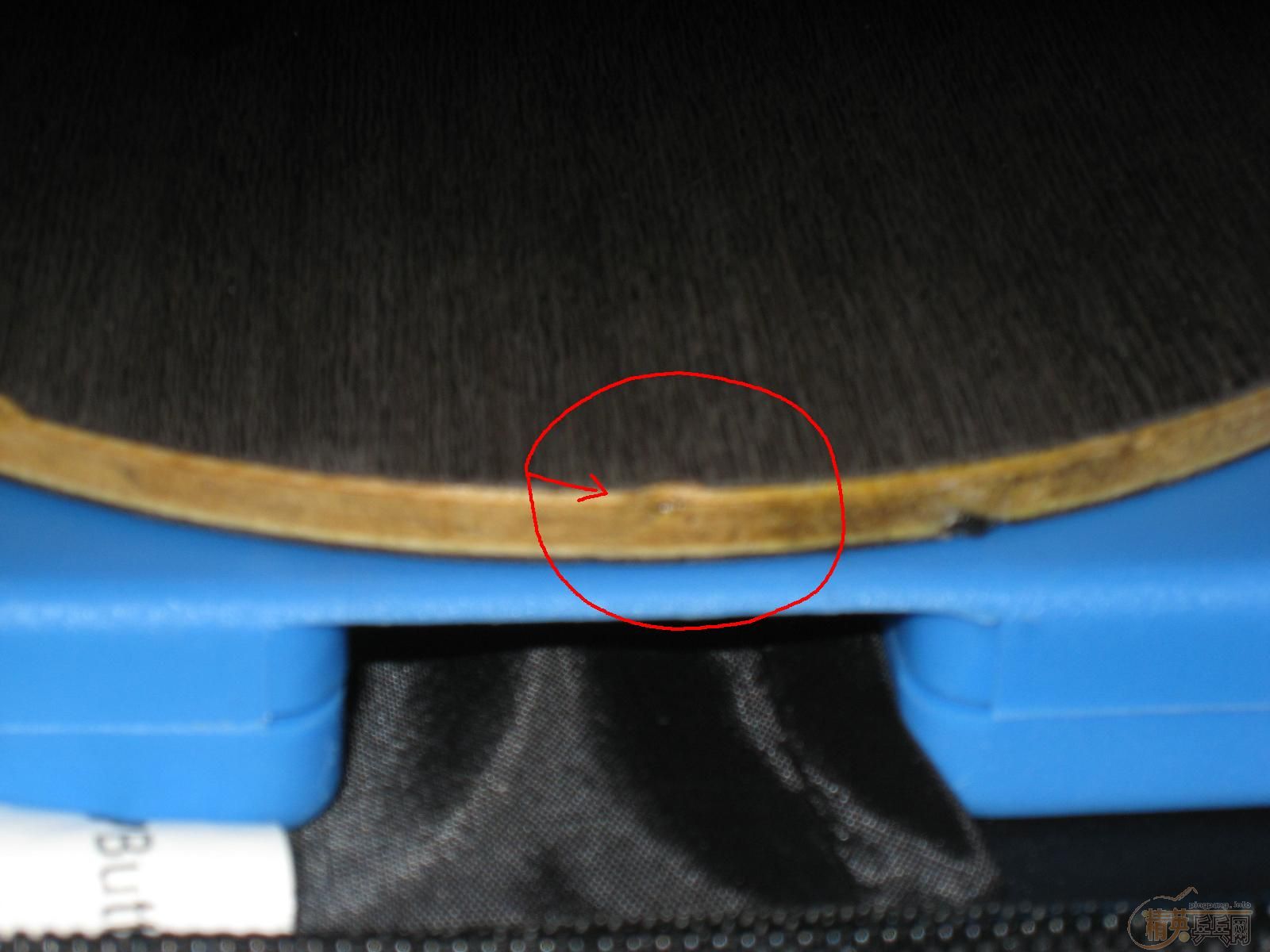 06081��𩻻YE��