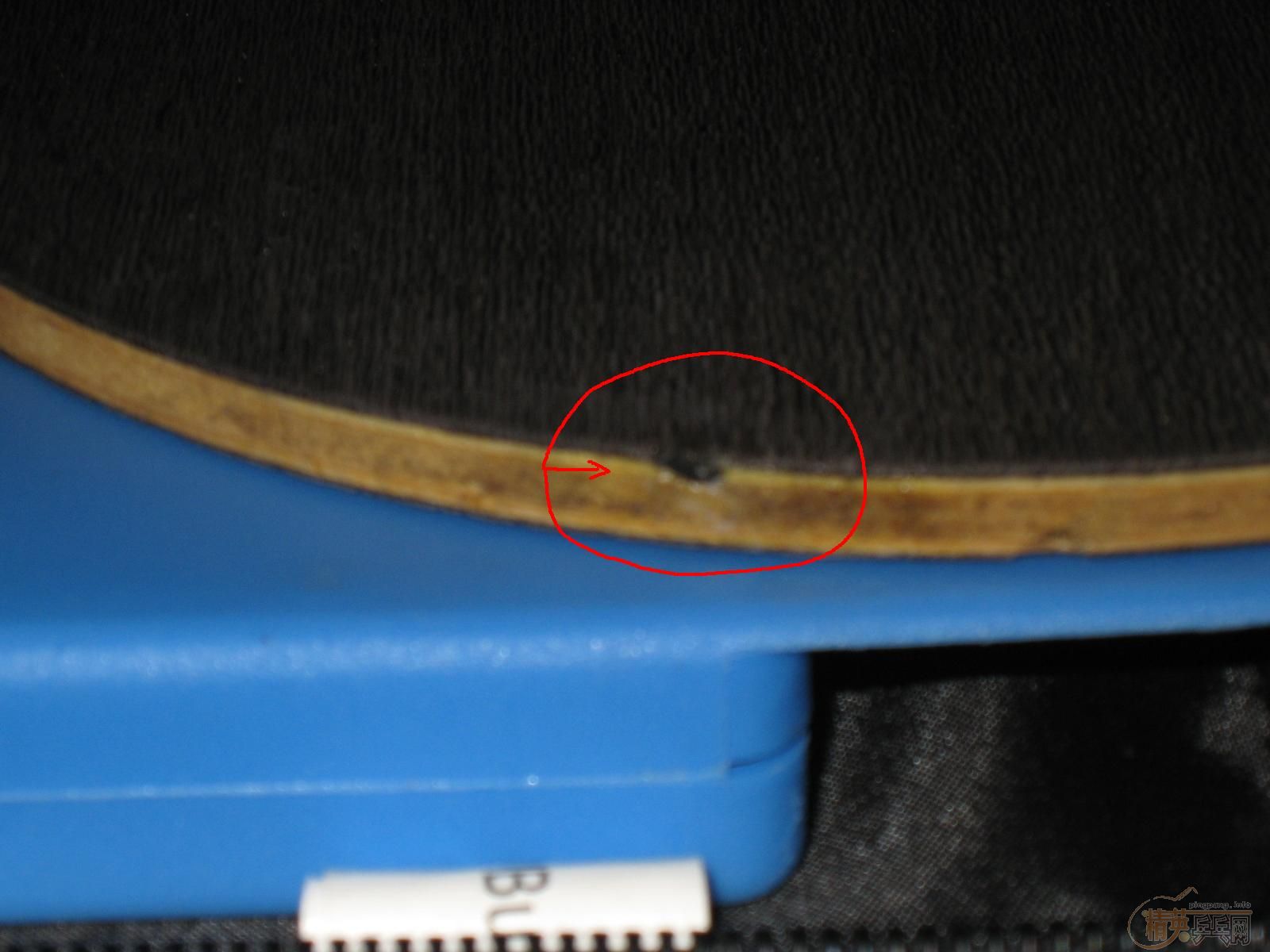 06081��𩻻YE��