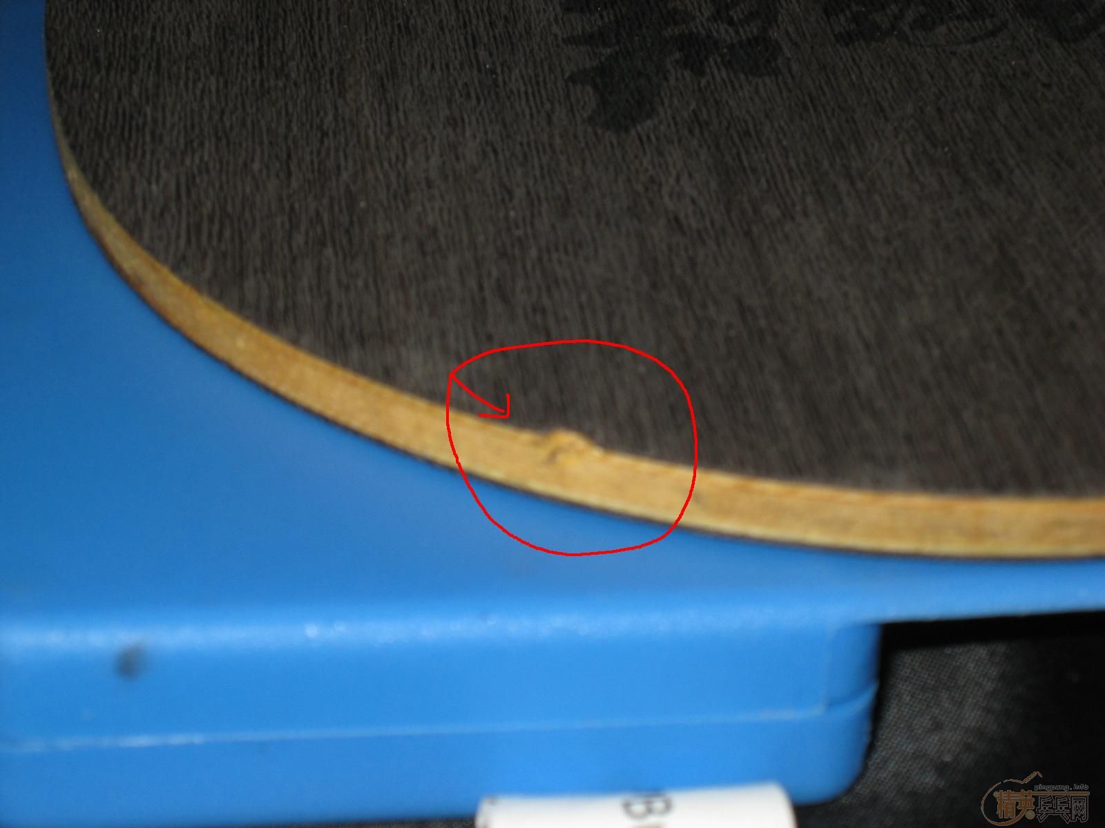 06081��𩻻YE��