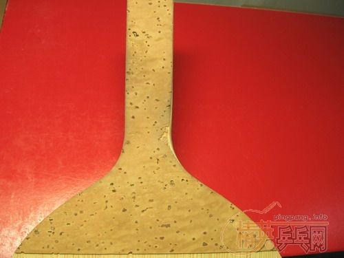 ���� PREVIS PLUS S 21490 ��ֱ�������ʽֱ��