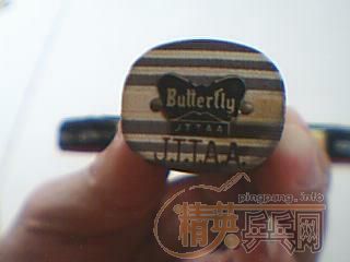 95����ST�Ʊ���������