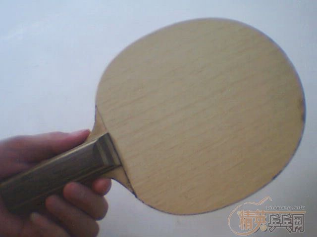 95����ST�Ʊ���������