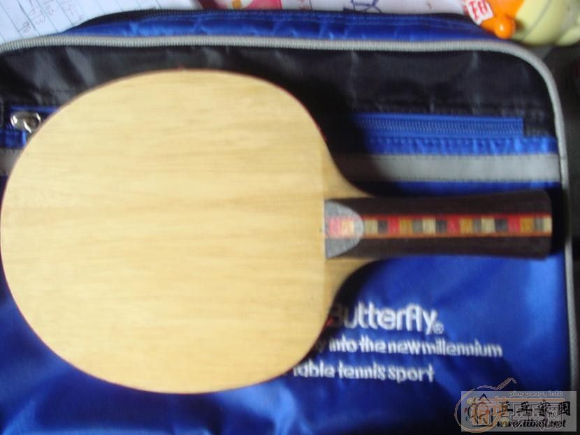 230����ݳ���ŷ��DONIC��̼FL