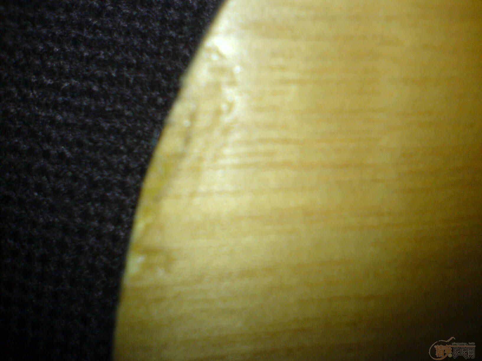 [ԭ��]ת������һֻ