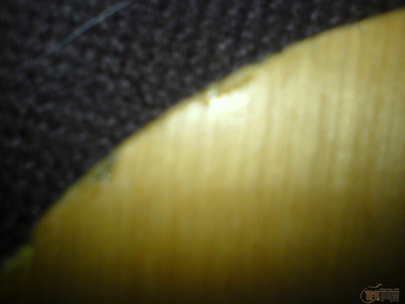 [ԭ��]ת������һֻ