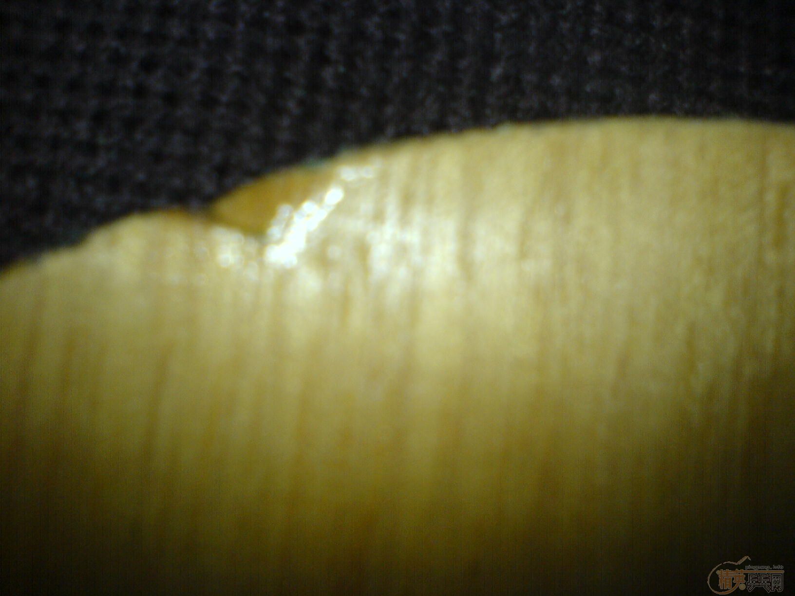 [ԭ��]ת������һֻ