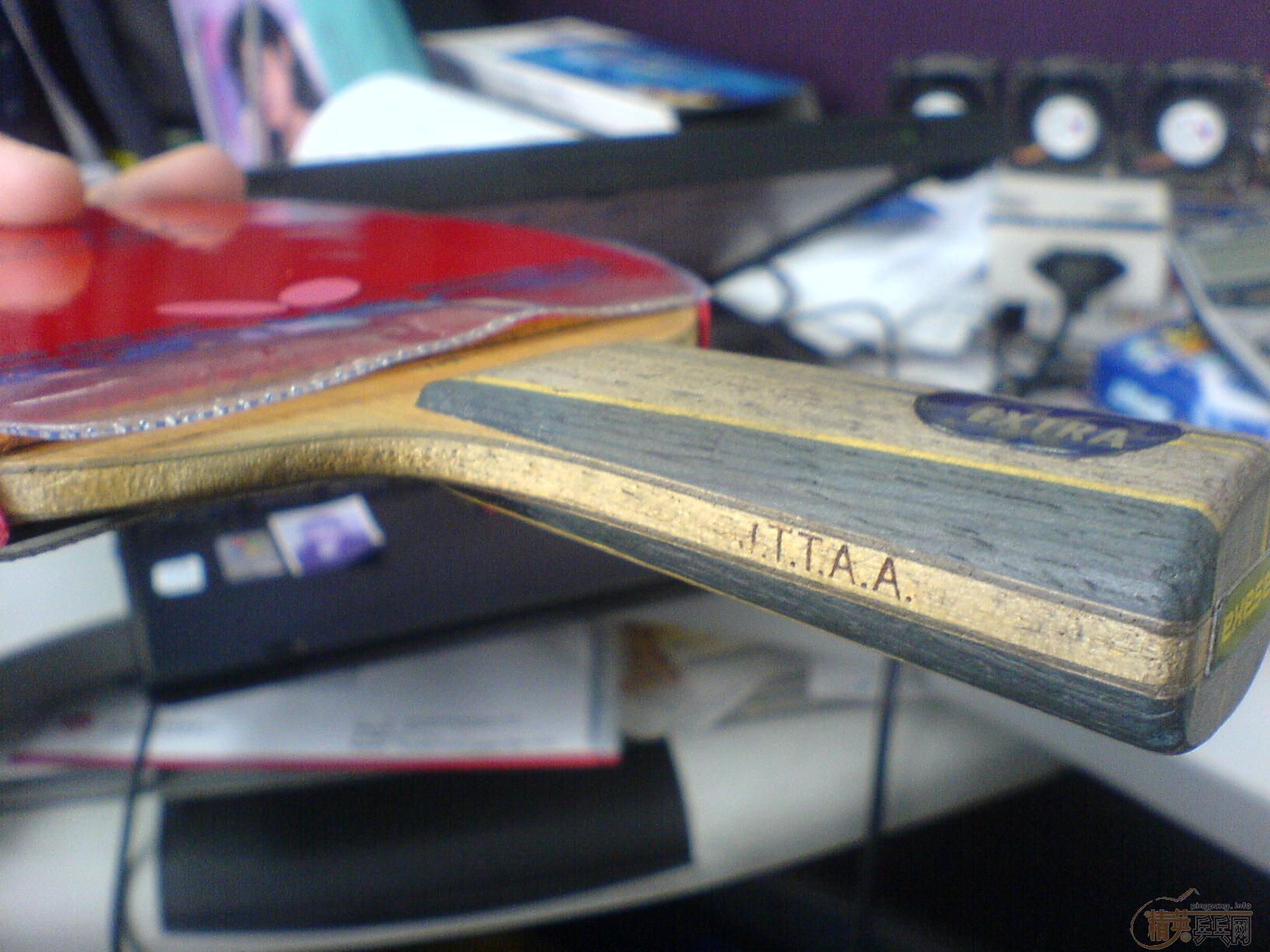 [ԭ��]ת������һֻ