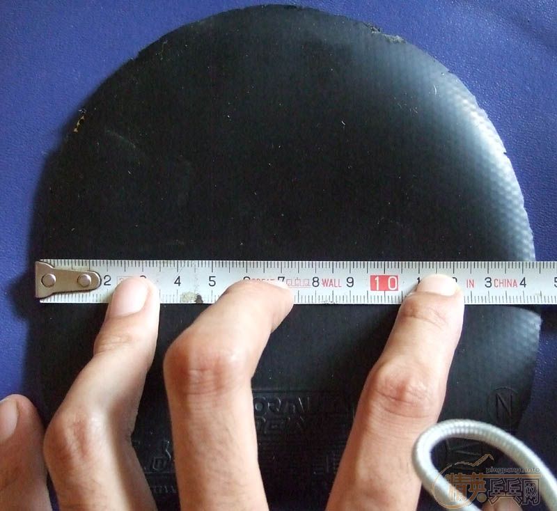 ���ù�������˦��