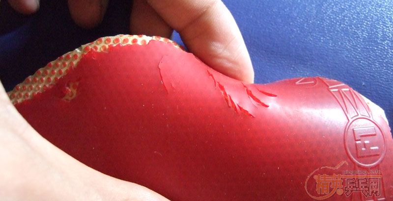 ���ù�������˦��