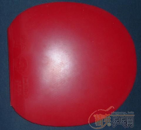 ���µ���Ч��+����729-2����110Ԫ�����ʷ�