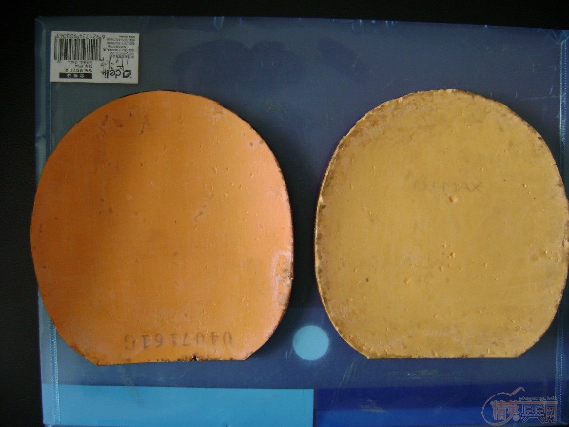 95�°�����FL,��ʡ���SRIVER