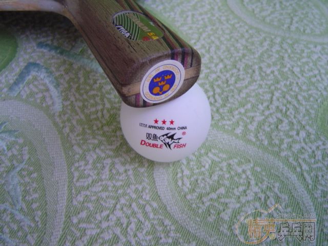 [ע��]�ͼ۳�˹�ۿ���5.4��ֱ����