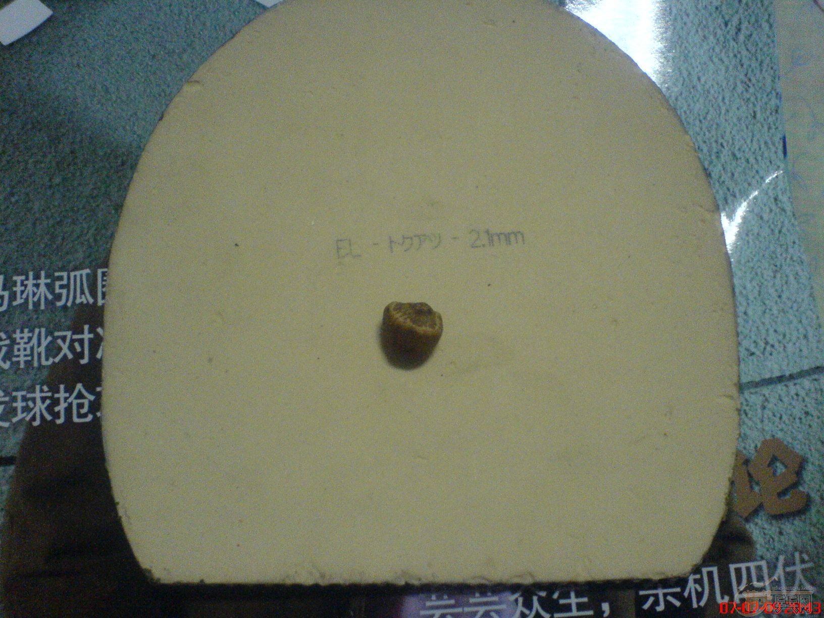 ����9����ֱ���B 150Ԫ   �����ֱ+L+EL160Ԫ