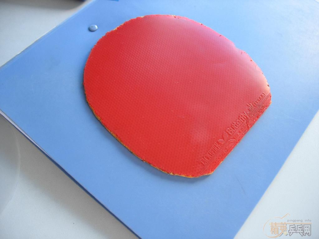 ��̩�˷��� �׽�