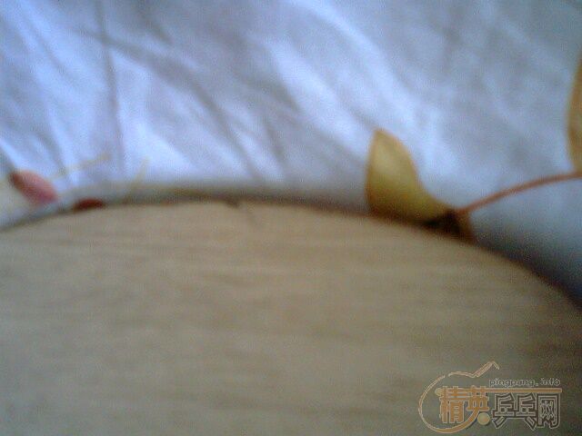 ��ֻ��ľFL,9�����ϣ�200��