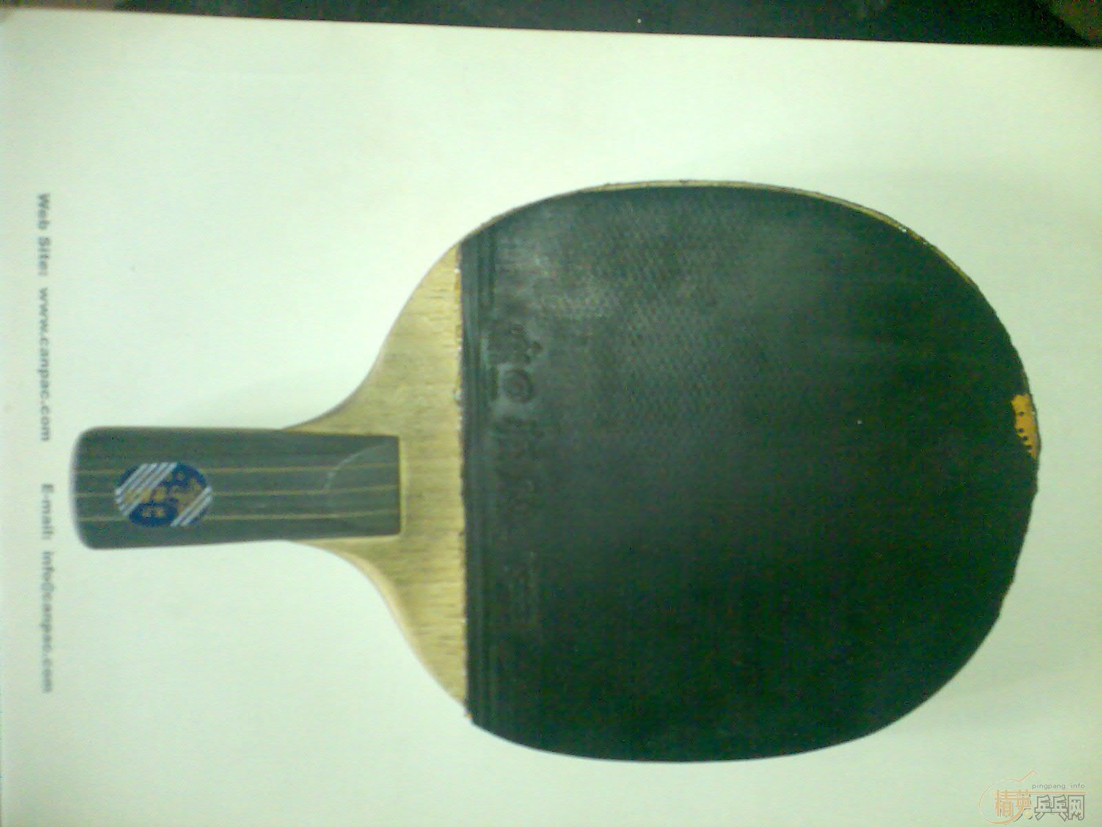 ����һֻ���µ���������(�����潺Ƥ)