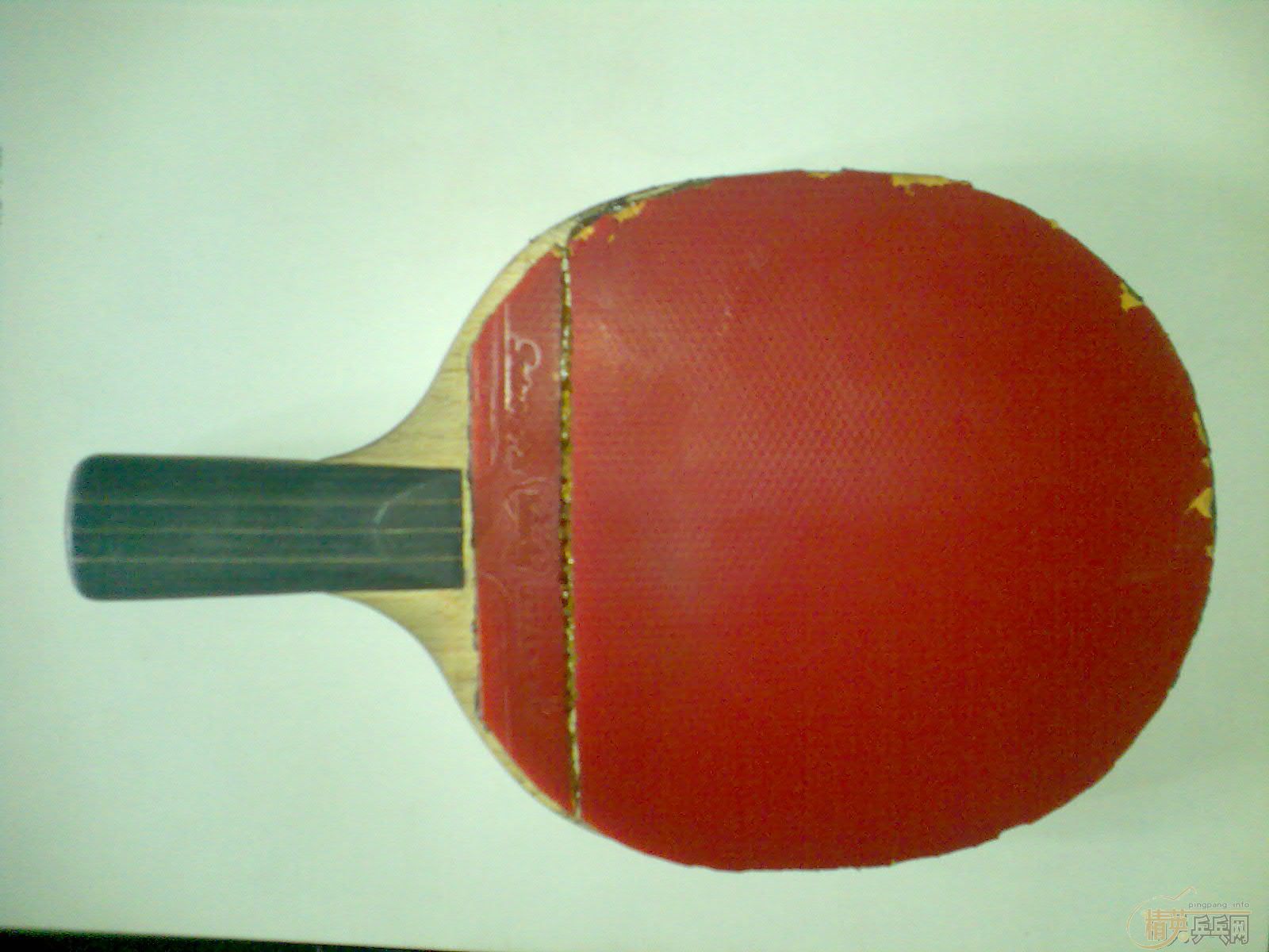 ����һֻ���µ���������(�����潺Ƥ)