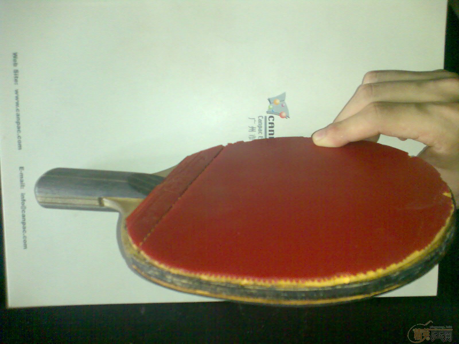 ����һֻ���µ���������(�����潺Ƥ)