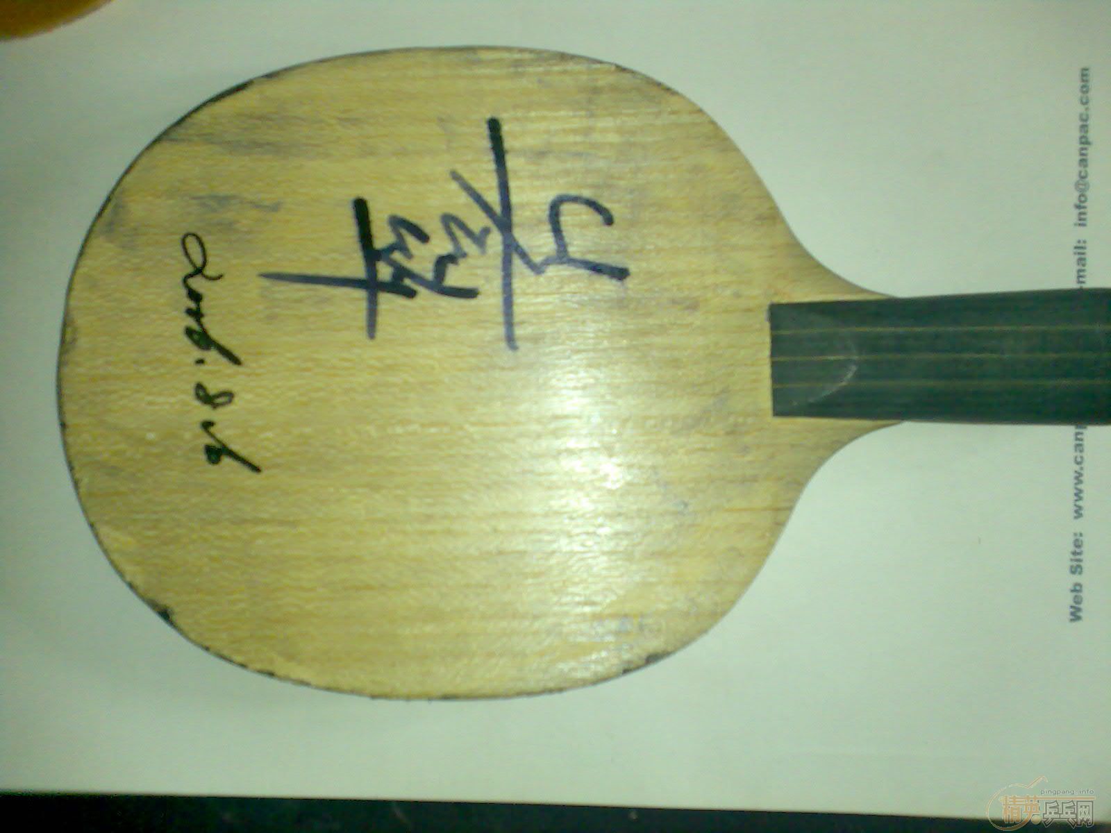 ����һֻ���µ���������(�����潺Ƥ)