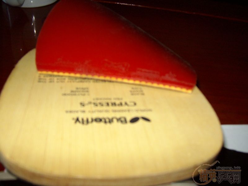 ������CYPRESS+SREVER-EL,450����,��ɫ�Ը���