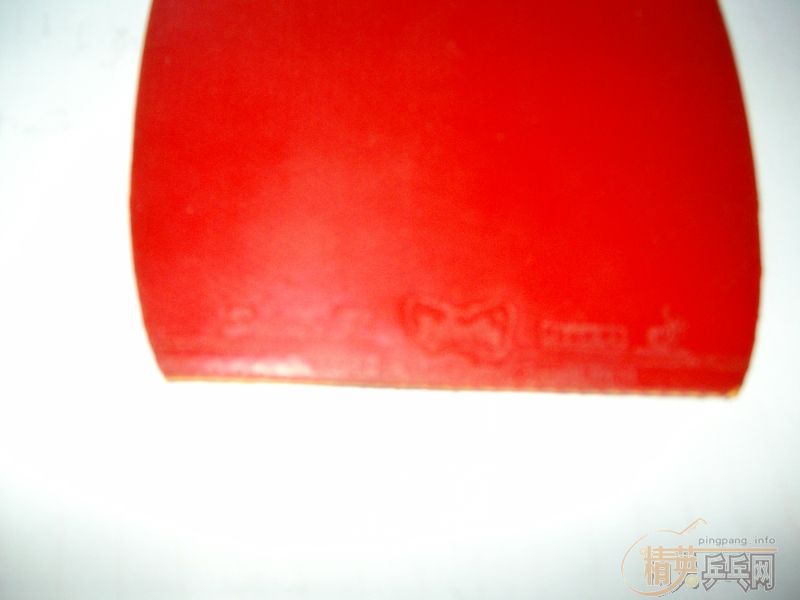 ������CYPRESS+SREVER-EL,450����,��ɫ�Ը���