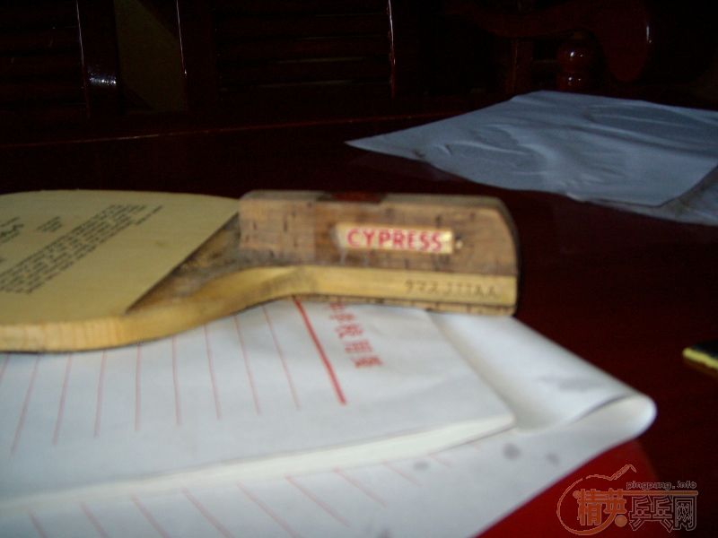 ������CYPRESS+SREVER-EL,450����,��ɫ�Ը���