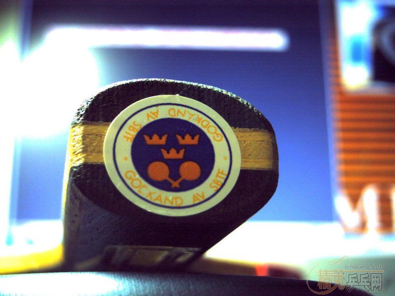 stiga���TL+TG3��Mark V��6�Ž�Ƥ����������~