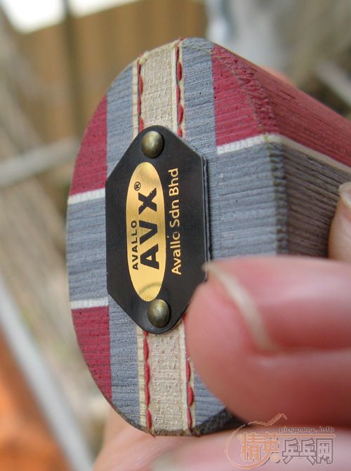 ��avallo AVX˫��̼