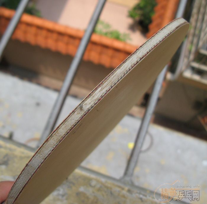 ��avallo AVX˫��̼