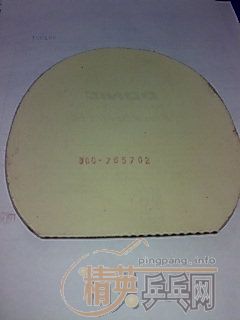 �� DONIC BlackDevil CB!�ɲ�����˼��� ��Hybrid wood