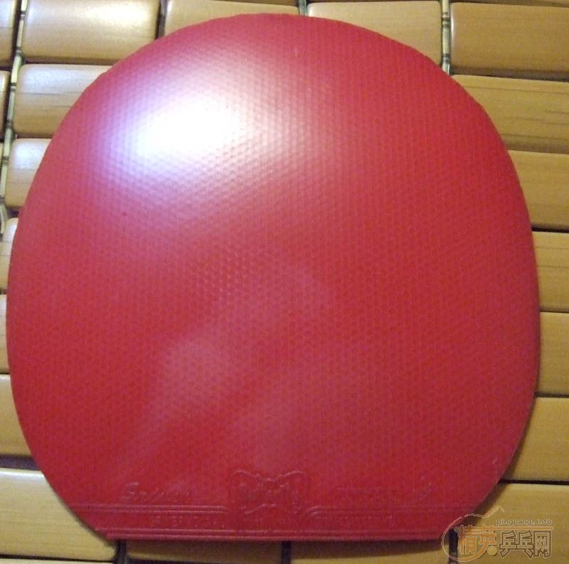 ��ŷ�������˦4����壬9���׽�