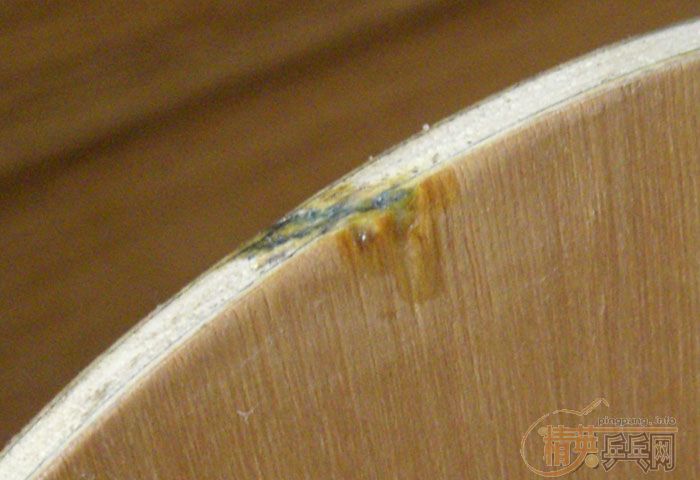 �����ѳ�YSCȫ��