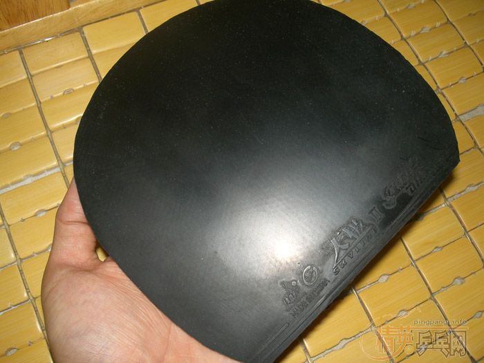 �����ѳ�YSCȫ��